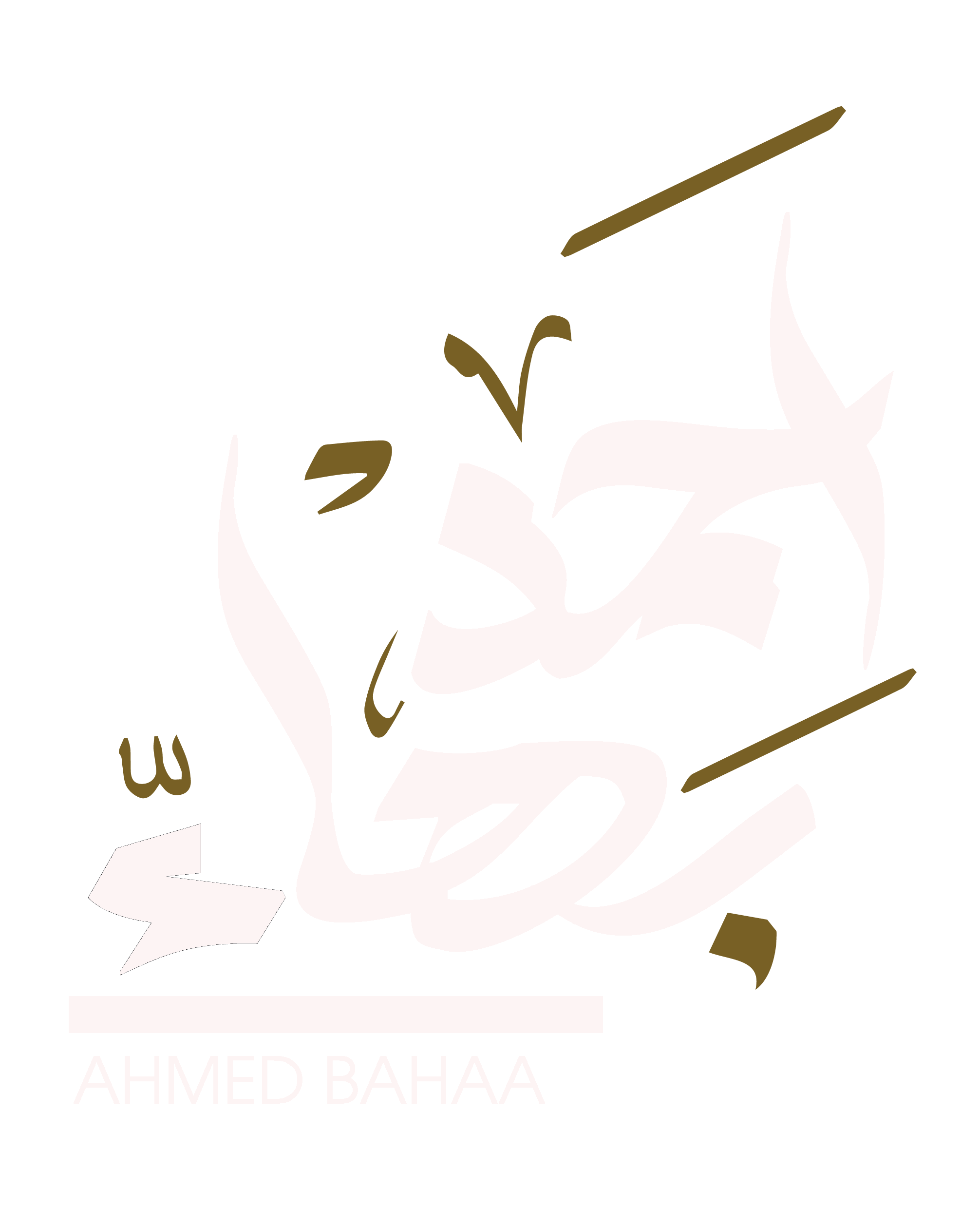 Ahmed Bahaa